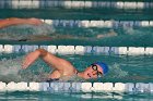 Swimming vs Babson  Wheaton College Swimming vs Babson College. - Photo By: KEITH NORDSTROM : Wheaton, Swimming, Babson